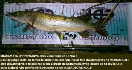 MATAMIARA SPINNINGOWA